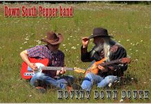 Moving Down South by Down South Pepper Band
