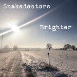 Brighter (feat. Nik Hughes) by Snakedoctors