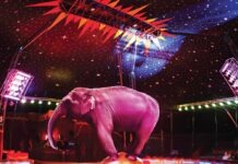 Join the Circus by Cigarettes for Breakfast