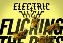Flicking The Bees by Electric High