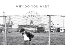 Why Do You Want by Couvo
