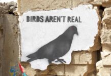 EP: Birds Aren’t Real by Shaven Primates