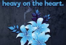 Not Now, Love by Heavy on The Heart