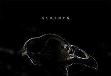 EP: Rebirth by Bahadur