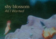 All I Wanted by Shy Blossom