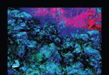 SWiiMS Figure it Out, Slowly and “In Puzzles” on Feature Track from New Album, ‘Into The Blue Night’