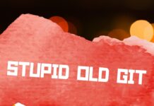 Stupid Old Git by Ruiz!