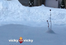 Vicky von Vicky recall the 1950’s in the modern indie rock song “Goodbye My Love”