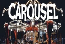 Carousel by Ivan Beecroft