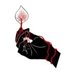 Album: Ash & Cinder by Fire in the Field
