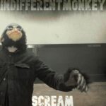 Scream by Indifferentmonkey