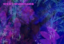 Album: Vivre Sa Vie by West Wickhams