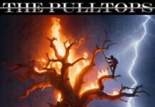 Here We Are by The Pulltops