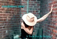It Took You By Surprise by Charmian Devi