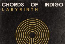 Labyrinth by Chords Of Indigo