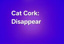 Disappear by Cat Cork