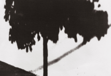 Montreal Cinematographic Trio, Caméra, Release Glorious Instrumental Self-Titled LP