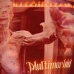 Multimorbid by Disco From Death