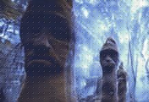 Penultimate by Deep Dive Species