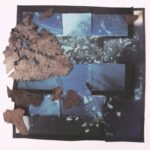 Shoegaze Project, numb talking, Blooms on the Bittersweet “sunflower”
