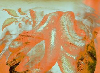 Crawl to Me by Mohawk Castle