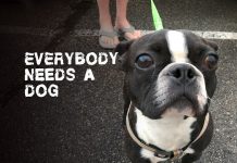 EP: Everybody Needs a Dog by Spyderhuff