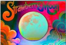 Album: Strawberry Moon by Erro