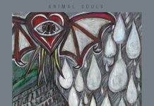 The Kids by Animal Souls