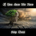 If You Saw Me Now by Filip Dahl