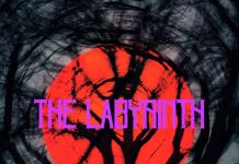 Canadian Neo-90s Alt-Rock Artist Vikki Minor Releases Cinematic New Single, “The Labyrinth”