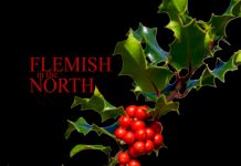 Holly Tree by Flemish in the North