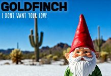 I Don’t Want Your Love by Goldfinch