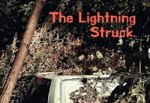 The Lightning Struck Unveil Witty New Single, “Wrong Tree,” From Their Upcoming Album ‘Century Storm’