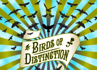 Majestic and Timeless: Brendemere’s Birds of Distinction