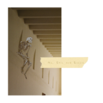 The Neighbourhood Watch Drop New Album ‘Mr. Skin and Bones’ feat. Cinematic Focus Track “Die This Happy”