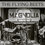 I See Through You by The Flying Beets