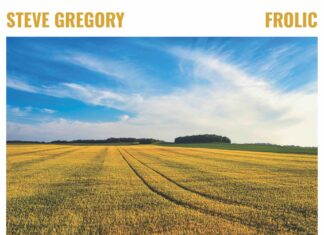 Album: Frolic by Steve Gregory