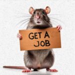Get A Job by Splinter