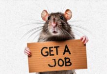 Get A Job by Splinter