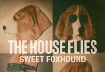 Sweet Foxhound by The House Flies