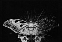 AS EVERYTHING COLLAPSES IN TIME