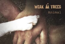 BUILT FROM COLD AIR AND NOISE!