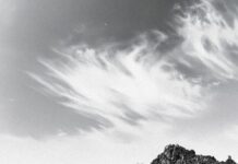 “Euphoria”: Don Broco’s Electrifying Leap Into Their Boldest Era Yet