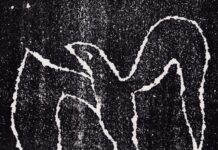 Bird of Time by Factheory ft. Michel Sordinia