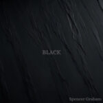 IN THE DARKEST SHADE OF HONESTY