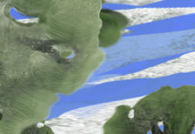 THE WEIGHT OF QUIET WINGS