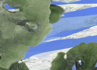 THE WEIGHT OF QUIET WINGS