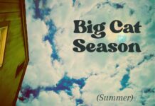 I’m in the Wrong by Big Cat Season