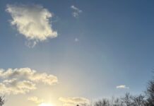 Love That Fills My World by Fiona Amaka