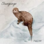 Album: Chungungo by Stefan Elbl